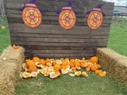 Suffolk pumpkin patch slammed as 'depressing' in viral review