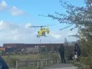 Tiger attack victim 'prayed on all fours' before fatal mauling