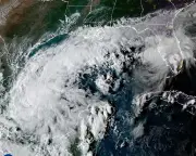 Tropical Depression Nine Predicted to Become First Hurricane of Atlantic Season