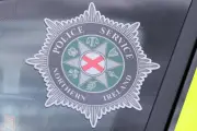 Two dead in Co Down workplace incident, HSENI says