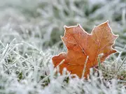 UK temperatures to plunge to 2C in north west after 21C highs
