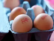 UK warning: Dispose of eggs from Ukraine over salmonella risk