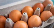 Urgent egg recall: Salmonella warning on Ukrainian eggs