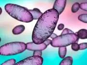 US experts warn Russian plague outbreak could spread fast