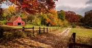 Vermont Town Bans Influencers Amid Autumn Foliage Chaos
