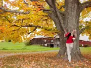 Vermont Town Bans Influencers Over Autumn Foliage Chaos
