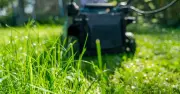When to Stop Mowing Lawn for Winter—Don't Miss Final Cut Window