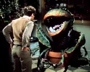 Why Little Shop of Horrors Is the Ultimate Feelgood Musical