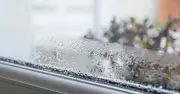 Window film warning: cheap heat-proofing can crack your glass