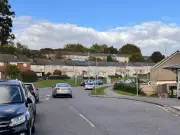 Woman bitten by dog on Newport street, police investigate