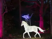Wowcher and TopCashback hack offers free Winter Illuminations tickets