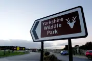 Yorkshire Wildlife Park to reopen after fatal tiger attack